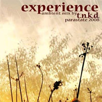 T.N.K.D. – Experience