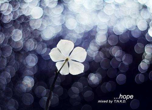 T.N.K.D! …hope