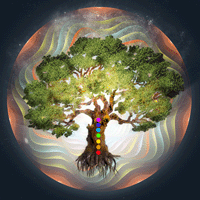 7.MAY “Om Tree” @ Mēdiju Centrs, Andrejsala